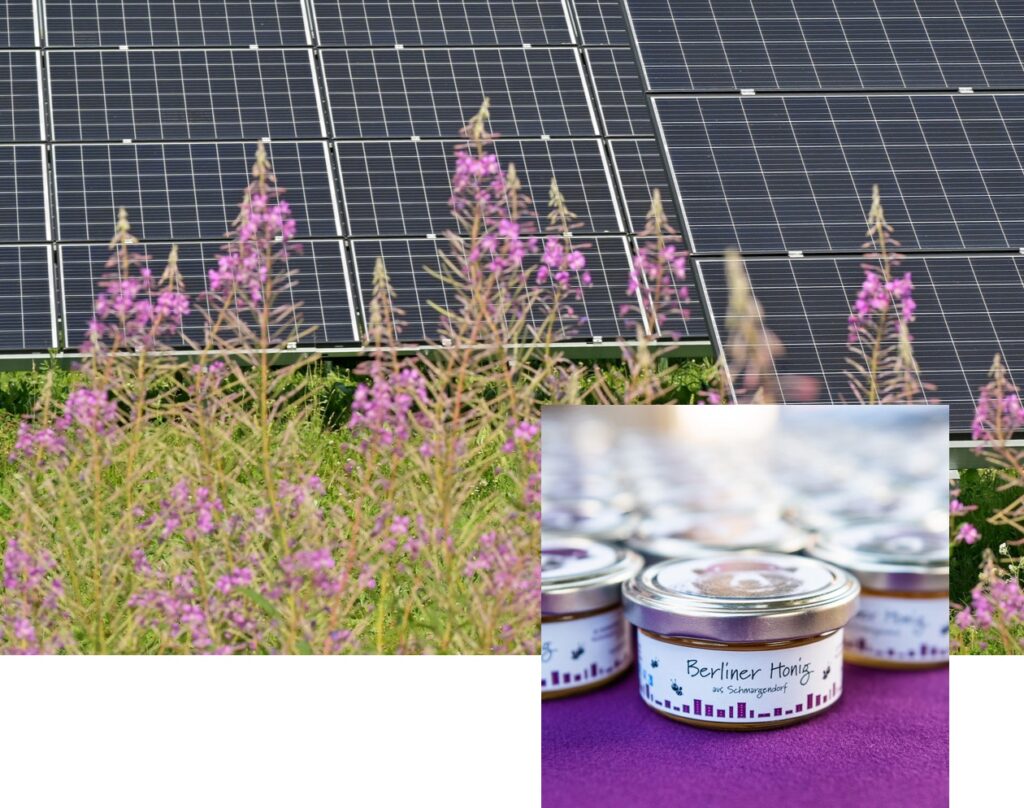 15.000 m² Urban Farming 